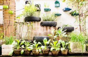 Urban Gardening
