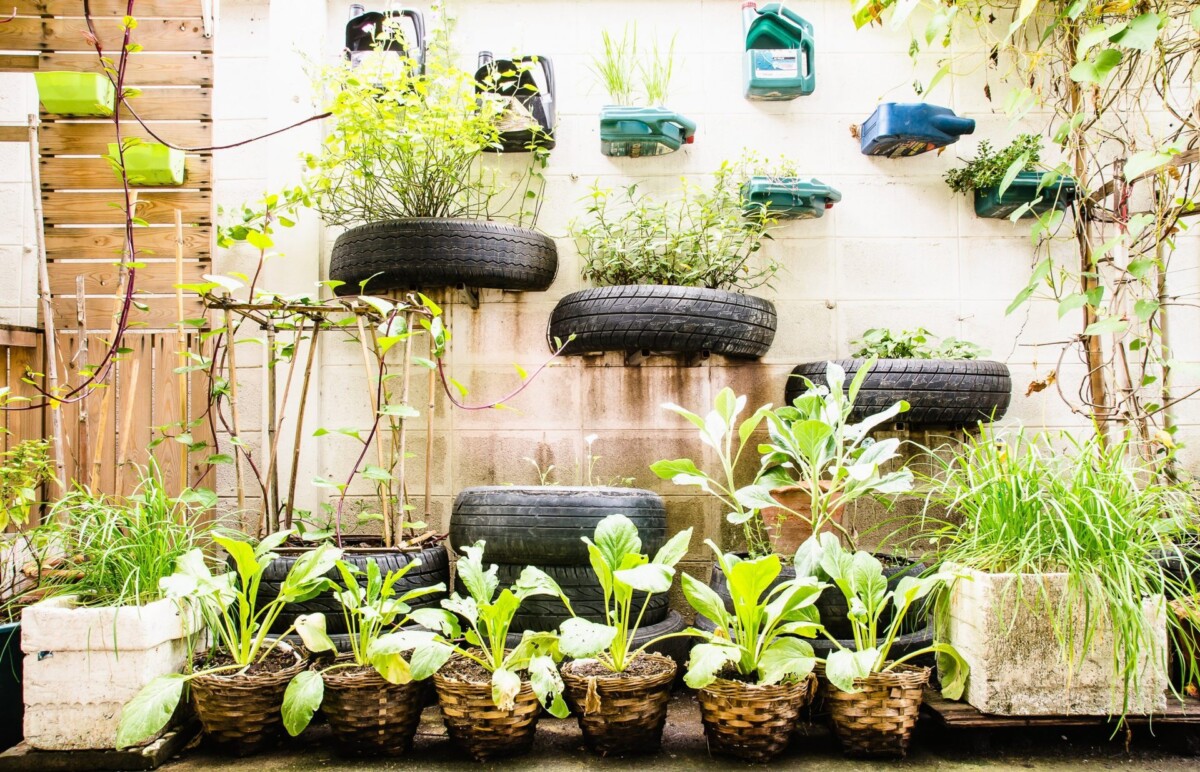 Urban Gardening