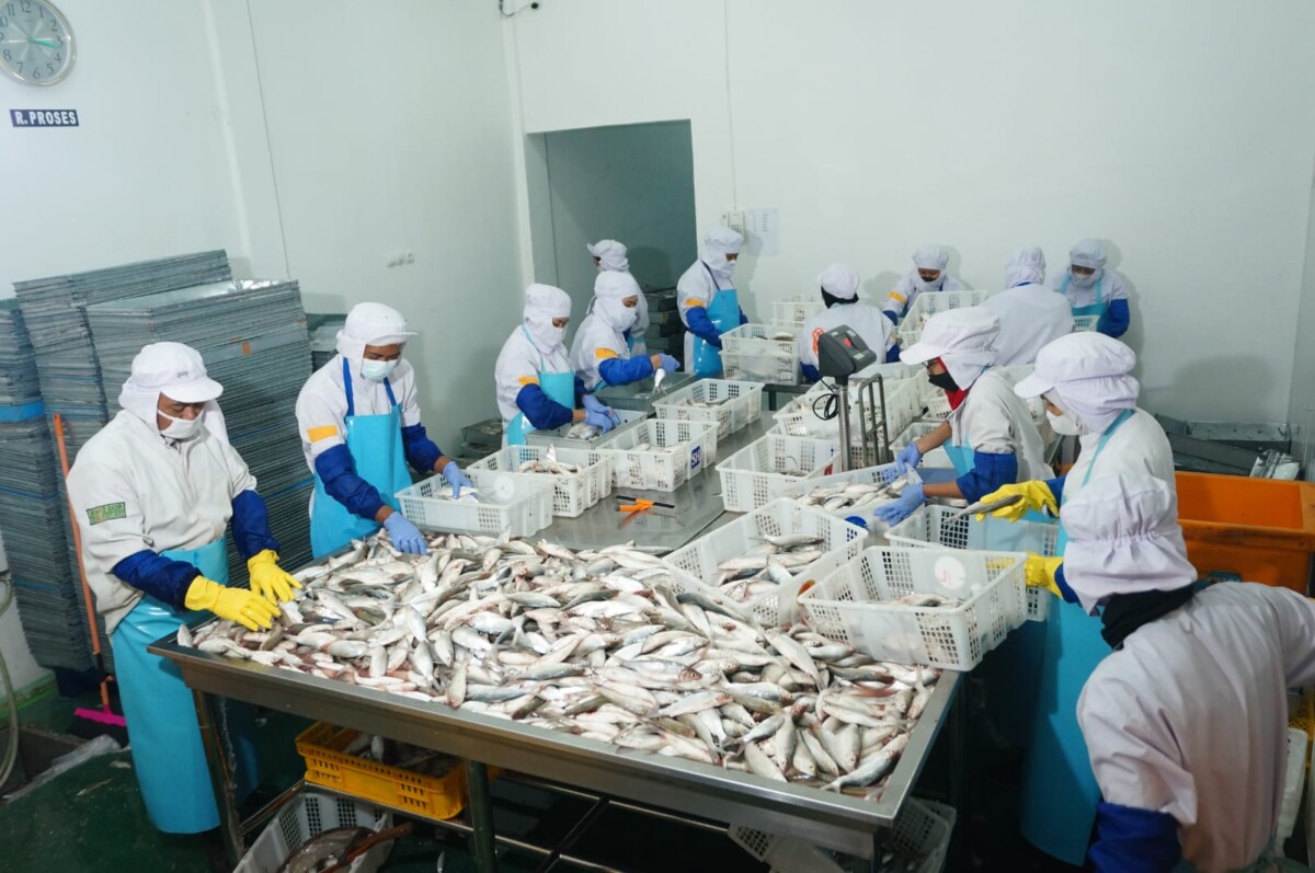 proveedor-de-mariscos-indonesia-importadores