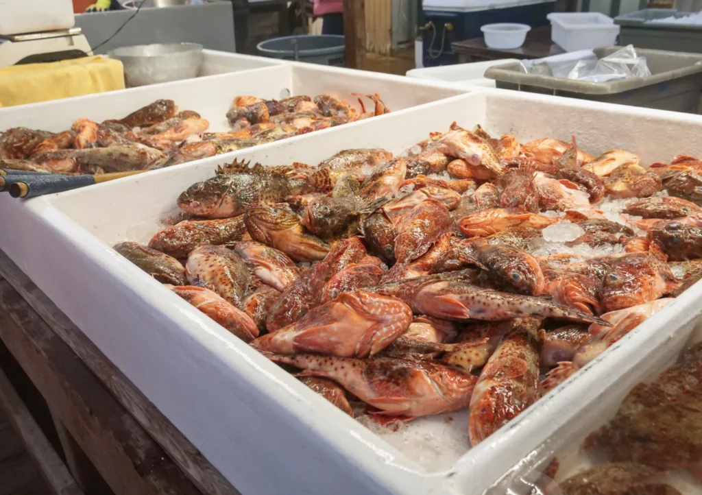 fresh fish market tokyo