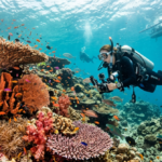 Volcanic Islands and Coral Walls: The Geography Behind Halmahera Dive Sites